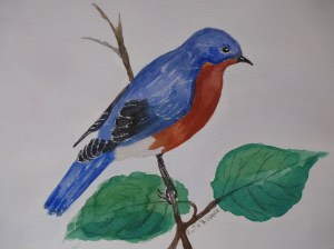 spring blue bird