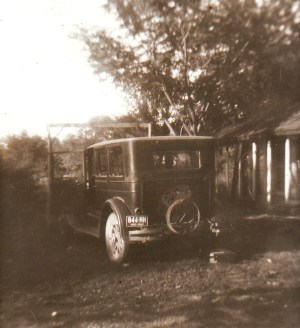 the banis family car