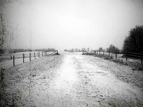 il_570xN_563036691_8u9y